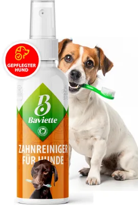 Obrázek produktu pro Baviette sprej pro péči o zuby 100 ml – péče o tlamu psů bez kartáčku s mikroorganismy, bez zápachu