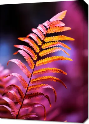 Produktbild von Bild 50x70cm Herbstfeuer