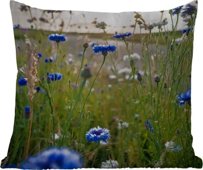 Produktbild von MuchoWow® Outdoor Kissen - Blumen - Sommer - Kornblume - Blau - Sonne - Wolken - 45x45 cm - Wetterfest - Lounge Kissen - Fotokissen - Dekoratives Kissen