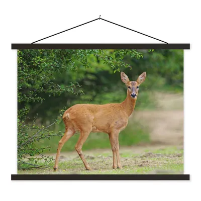 Produktbild von MuchoWow® Textilposter Hirsche - Gras - Wald 150x113 cm mit holzfarbenen Rahmen - Poster