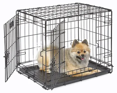 Produktbild von MidWest Homes for Pets iCrate Hundebox, klappbar, mit 2 Türen, Trennwand, auslau