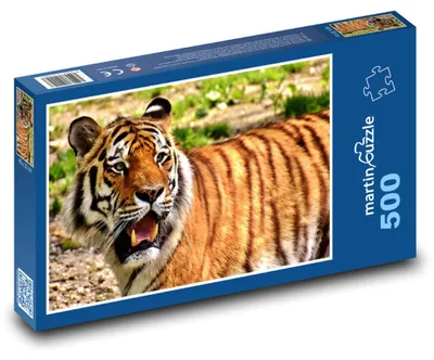 Obrázek produktu pro Puzzle 500 Tygr v divočině - martinpuzzle