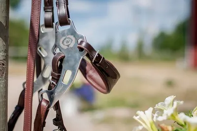Image de Ps Of Sweden Hackamore Sport Snaffle Brown Cob Brown Cob