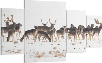 Produktbild von Bild auf Leinwand - Leinwandbild - Hirsch Winter Tierwelt Landschaft - 160x90cm - Wand Bild - Wanddeko - Leinwanddruck - Bilder - Kunstdruck - Leinwand bilder - Wandkunst - DL160x90-3144