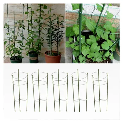 Produktbild von 5er Set Metall Rankhilfe für Tomaten 45/60 cm, witterungsbeständig, grün (H: 60 cm)