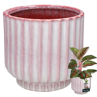 Image de KOTARBAU® Pot de fleurs rose en céramique, rond, ⌀ 13 cm, hauteur 14 cm, céramique émaillée, 1 pièce, grand cache-pot, cache-pot en céramique, pot de fleurs en céramique, bac à fleurs en céramique