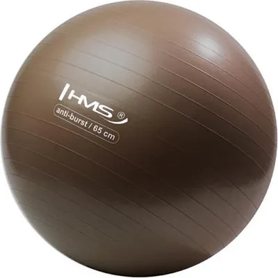 Produktbild von Yb02 65cm Anti-burst Braun Gymnastikball Hms