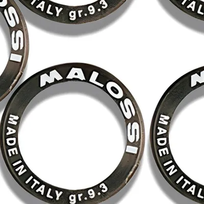 Immagine prodotto di MALOSSI Variomatikgewichte 25 x 14,9mm - 16,0gr