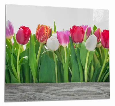 Produktbild von Wallario Herdabdeckplatte aus Glas, Größe 60 x 52 cm 1-teilig, Motiv Rote  weiße und pinke Tulpen im Frühling
