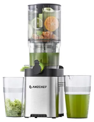 Image de amzchef - CE-ZM1902B-SV - Extracteur de jus