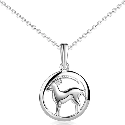 Produktbild von MATERIA by Matthias Wagner Kettenanhänger Sternzeichen Steinbock 925 Silber wahlweise mit Kette KA-488