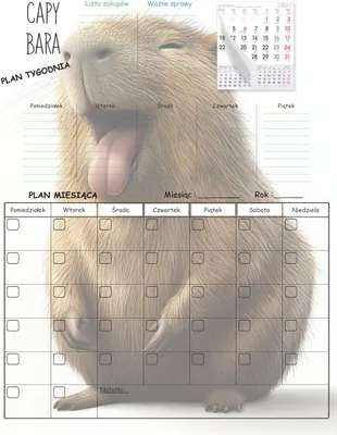 Immagine prodotto di Frigo planner MAGNETTAFEL Kapybara calendario + PENNA CALENDARIO