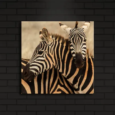 Productafbeelding van Opviq, model 4040İACT-SHN4233, Bunt, canvasprints, 40 x 40 cm, 100% suède canvas