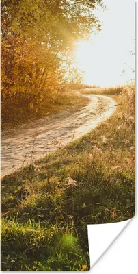 Produktbild von MuchoWow® Poster Weg - Natur - Baum 20x40 cm - Plakat - Foto