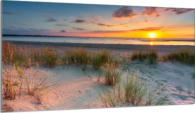 Image de Plaque de recouvrement 90x52 pour cuisinière Vitrocéramiquefeld Couverture anti-éclaboussures Plaque de verre Déco Planche à découper, plage soleil