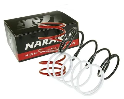 Productafbeelding van Naraku Sport V.2 - Set van 3 contragewichtveren voor scooters/quads met GY6, Kymco, Honda, Piaggio of Peugeot