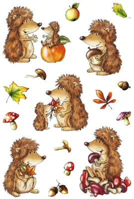 Produktbild von Herma 3367 Naklejka DECOR jeż