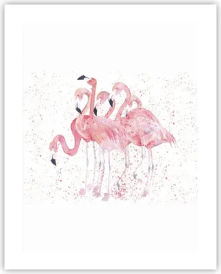 Produktbild von Poster - Poster ohne Rahmen - Flamingo Vogel Wasser - 40x50 cm - Wand Bild - Wanddeko - Wandbilder - Kunstposter - Wandposter - Bilder - Kunstdruck - Wanddekoration - Wandbild - P2XPA40x50-3899