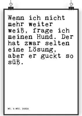 Produktbild von Mr. & Mrs. Panda Bild Wenn ich nicht mehr... DIN A3 - Weiß - Geschenk, wanddeko, Wandbild, Deko, Liebe, Posterdruck, Tier, Hund, Sprüche, Plakat, Frauchen, Spruch