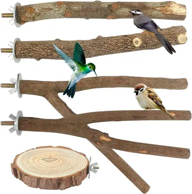 Productafbeelding van Vogelhangers van natuurlijk hout, 5 stuks, geschikt voor vogelkooien, speelgoed voor papegaaien
