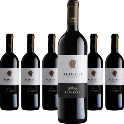 Produktbild von 6 x Tenuta Podernovo Aliotto Toscana IGT