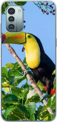 Produktbild von König Design Hülle kompatibel mit Nokia G11 Kunststoff Soft Handyhülle - Handy Case Tucan