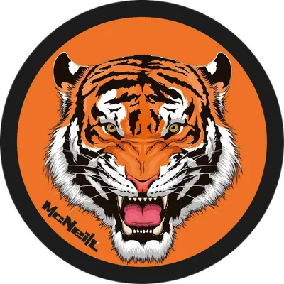 Produktbild von McNeill Schulranzen-Zubehör McAddy Tiger Orange mehrfarbig
