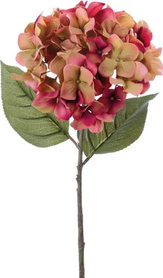 Produktbild von Gilde Hortensie aus Kunststoff · pink Höhe 71 cm 54037