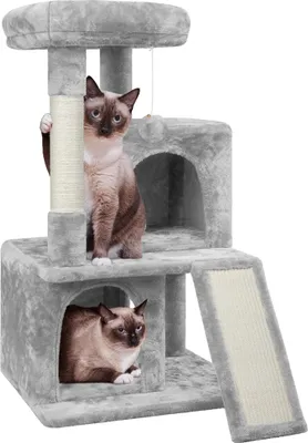 Two cats are on a multi-level cat tree with scratching posts and hideaways.
