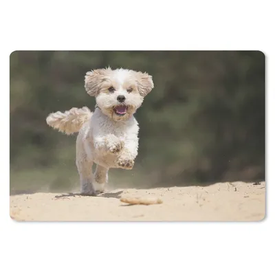 Produktbild von MuchoWow® Mauspad Mousepad Ein Shih Tzu Hund hüpft durch den gelben Sand 27x18 cm - Mousepads - Maus Mat - Pad - Mausunterlage - Büroartikel - Desk Matten