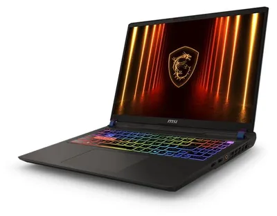 Image de MSI Vector/16 HX AI A2XWIG-023CZ/U9-275HX/16"/2560x1600/32GB/1TB SSD/RTX 5080/W11H/Gris/2R