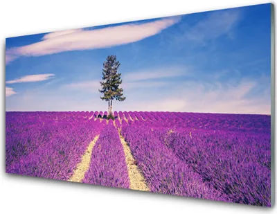 Produktbild von Acrylglasbilder 100x50 Wandbild Druck Wiese Baum Landschaft