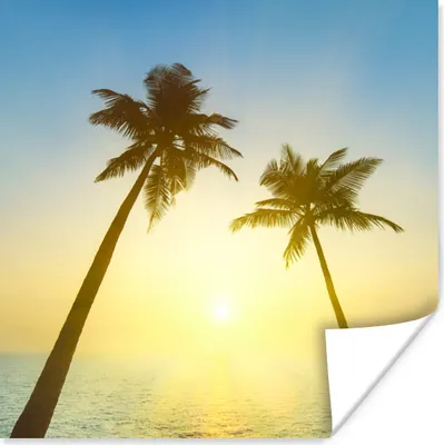 Produktbild von MuchoWow® Poster Strand - Sonnenuntergang - Palmen 50x50 cm - Wohnzimmerdekoration