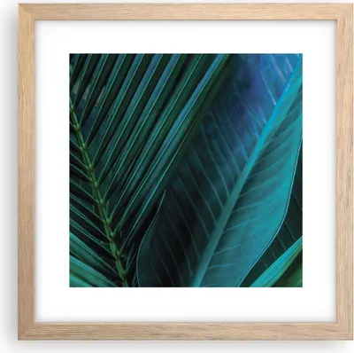 Produktbild von Gerahmtes Poster - Rahmen in heller Eiche - Blatt Tropen Grün - 30x30 cm - Wand Bild - Wanddeko - Wandbilder - Kunstposter - Wandposter - Bilderrahmen - Bilder - Kunstdruck - P2NAC30x30-5071