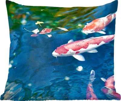 Produktbild von MuchoWow® Zierkissen Sofakissen Wohnzimmer Dekokissen 45x45 cm Vier Koi-Karpfen in einem Teich - Schlafpolster - Polster für das Sofa