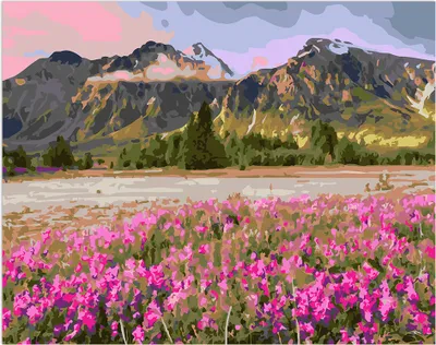 Produktbild von Painting BY NUMBERS WITH FRAME Bilder zum Malen - Farbige Landschaft 50 x 40 cm