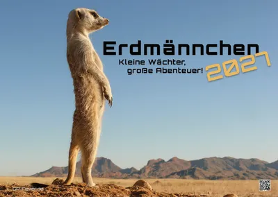 Produktbild von Erdmännchen - Kleine Wächter, große Abenteuer! - 2027 - Kalender DIN A3