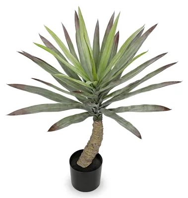 Image de Bonsaï yucca artificiel, 70 cm, grande plante en pot artificielle, yucca artificiel pour l'intérieur et l'extérieur, décoration moderne pour la salle de bains, le salon, la chambre à coucher et le balcon.