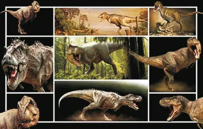 Produktbild von TischSet 3D Dinosaurier, Platzset 2erSet Platzdeckchen Poster Bilder Tier Dinos T Rex