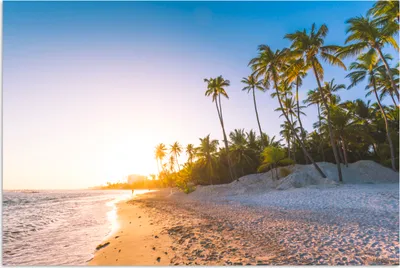 Produktbild von MuchoWow® Poster Palmen am Strand bei Sonnenaufgang 60x40 cm - Schlafzimmerdekoration