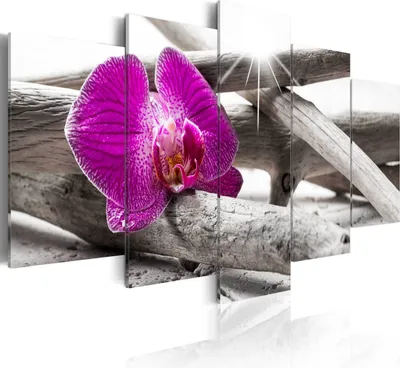 Produktbild von Modernes Wandbild b-A-0194-b-m - 5 teilig - 150x75 cm Bilder Fotografie auf Vlies Leinwand Foto Bild Dekoration Wand Bilder Kunstdruck BLUME ORCHIDEE HOLZ