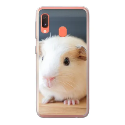 Produktbild von MuchoWow® Handyhülle Schutzhülle Hülle für Samsung Galaxy A20e Niedliches Baby-Meerschweinchen Silikon Softcase Handy Hülle - Abdeckung