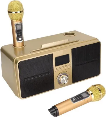 Zdjęcie produktu dla Przenośny zestaw głośników Bluetooth z 2 mikrofonami bezprzewodowymi na domowe imprezy – SD-309 – do konferencji, wesel, pikników, wewnątrz i na zewnątrz