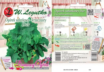Obrázek produktu pro Ogórek Gruntowy Sałatkowy Odmiana Dar