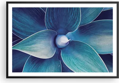 Produktbild von Gerahmtes Poster - Schwarzer Rahmen - Agave Blau Blume - 91,5x61 cm - Wand Bild - Wanddeko - Wandbilder - Kunstposter - Wandposter - Bilderrahmen - Bilder - Kunstdruck Wanddekoration - P2BAA91x61-4972