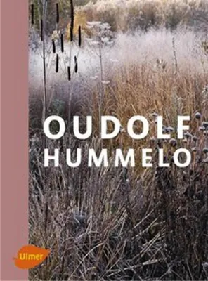 Image de Oudolf Hummelo