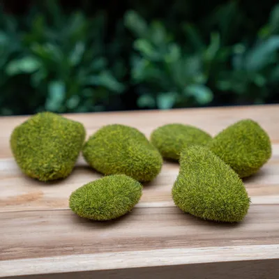 Produktbild von Moos Steine 6 Stück im Beutel grün Emerald
