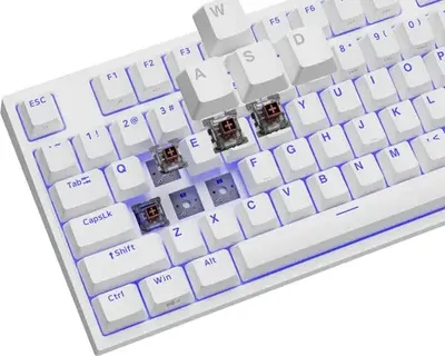 Produktbild von GENESIS Thor 404 TKL, Kabelgebunden, USB, Mechanischer Switch, QWERTY, RGB-LED, Weiß