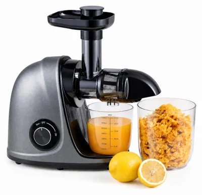 Produktbild von Entsafter, 150 W elektrische Saftpresse mit Umkehrfunktion, Obstpresse mit Reinigungsbürste, Saftbehälter & Tresterbehälter, Slow Juicer für Obst & Gemüse, Silber