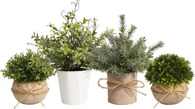 Image de Plantes artificielles décoratives Mini pots Décoratifs Différentes espèces 4 pcs